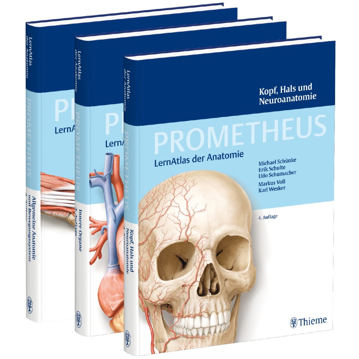 Amazon.co.jp: PROMETHEUS LernPaket Anatomie Schaedel